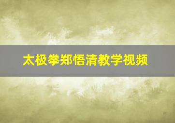 太极拳郑悟清教学视频