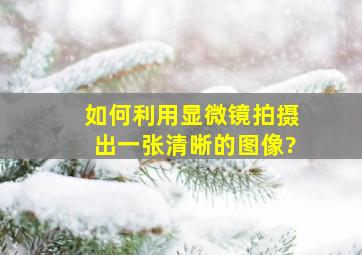 如何利用显微镜拍摄出一张清晰的图像?