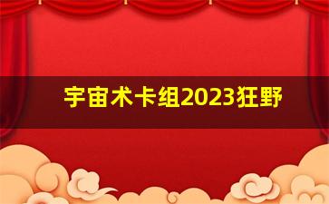 宇宙术卡组2023狂野