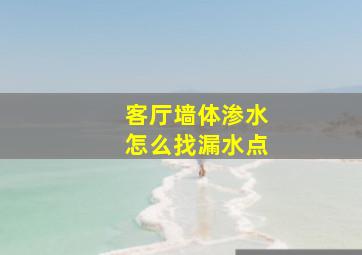 客厅墙体渗水怎么找漏水点