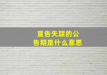 宣告失踪的公告期是什么意思