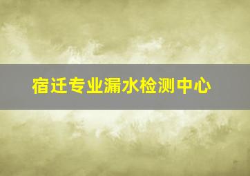 宿迁专业漏水检测中心