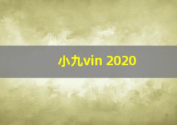 小九vin 2020