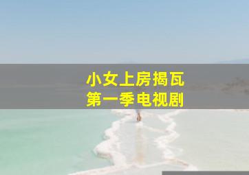 小女上房揭瓦第一季电视剧