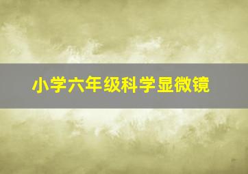 小学六年级科学显微镜