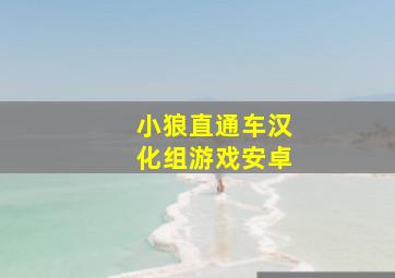 小狼直通车汉化组游戏安卓