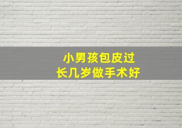 小男孩包皮过长几岁做手术好