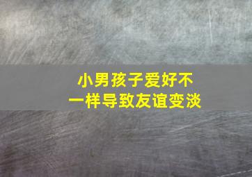 小男孩子爱好不一样导致友谊变淡