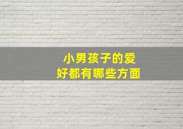 小男孩子的爱好都有哪些方面