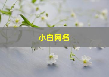 小白网名