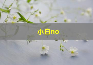 小白no