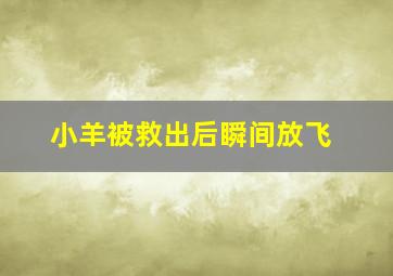 小羊被救出后瞬间放飞