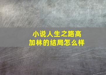 小说人生之路高加林的结局怎么样