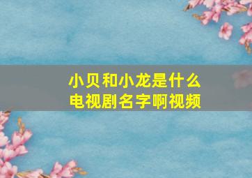 小贝和小龙是什么电视剧名字啊视频