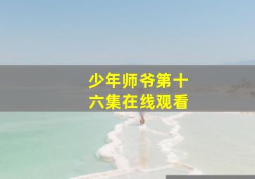 少年师爷第十六集在线观看