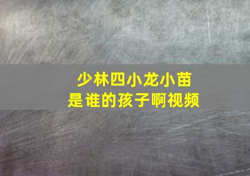 少林四小龙小苗是谁的孩子啊视频