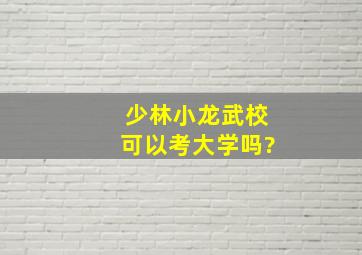 少林小龙武校可以考大学吗?