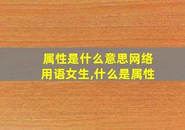 属性是什么意思网络用语女生,什么是属性