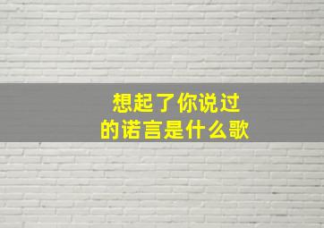 想起了你说过的诺言是什么歌