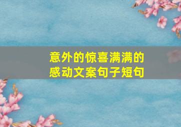 意外的惊喜满满的感动文案句子短句