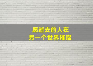 愿逝去的人在另一个世界璀璨