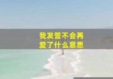 我发誓不会再爱了什么意思