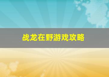 战龙在野游戏攻略