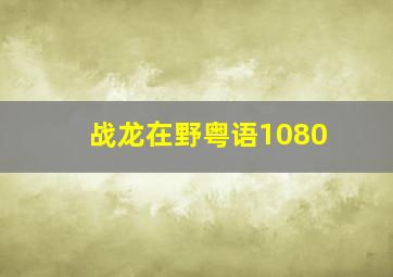 战龙在野粤语1080