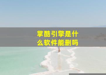 掌酷引擎是什么软件能删吗