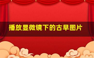 播放显微镜下的古早图片