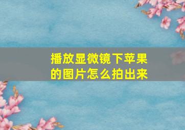 播放显微镜下苹果的图片怎么拍出来