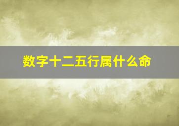 数字十二五行属什么命