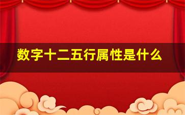 数字十二五行属性是什么