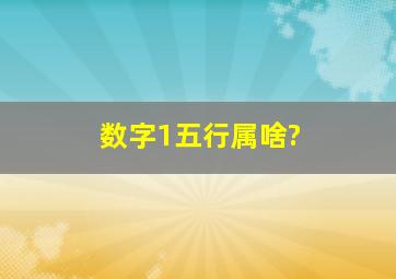 数字1五行属啥?