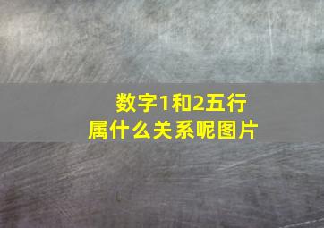 数字1和2五行属什么关系呢图片