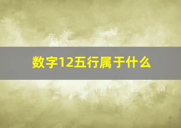 数字12五行属于什么