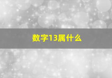 数字13属什么