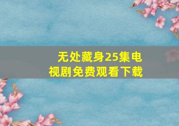 无处藏身25集电视剧免费观看下载