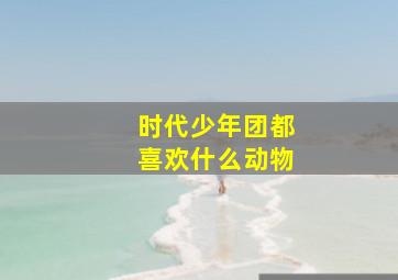 时代少年团都喜欢什么动物