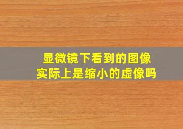 显微镜下看到的图像实际上是缩小的虚像吗