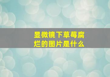 显微镜下草莓腐烂的图片是什么