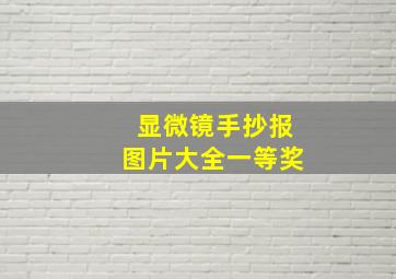 显微镜手抄报图片大全一等奖