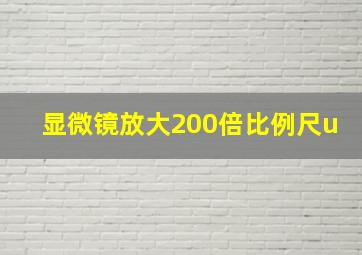 显微镜放大200倍比例尺u