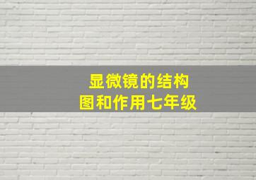 显微镜的结构图和作用七年级