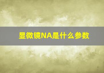 显微镜NA是什么参数