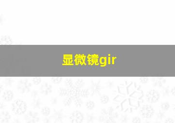 显微镜gir