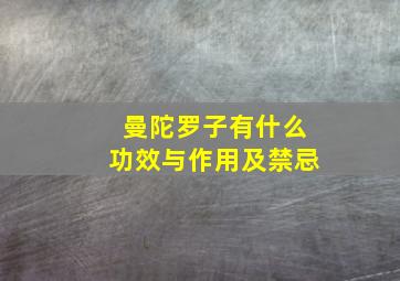 曼陀罗子有什么功效与作用及禁忌