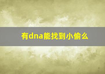 有dna能找到小偷么