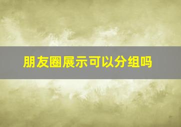 朋友圈展示可以分组吗