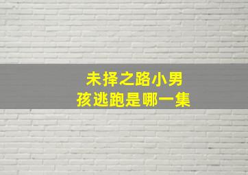 未择之路小男孩逃跑是哪一集